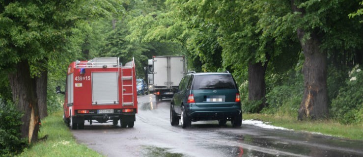 Uderzył w drzewa i wypadł z samochodu. Z poważnymi obrażeniami trafił do szpitala - Zdjęcie główne