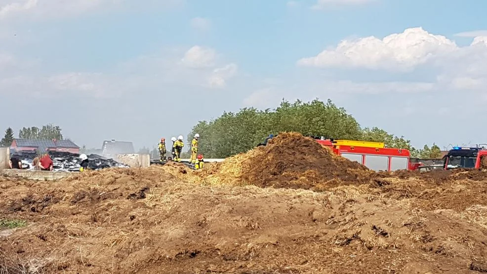 Duży pożar w gospodarstwie rolnym w Kunowie. Do akcji zadysponowano kilkudziesięciu strażaków PSP i OSP - Zdjęcie główne