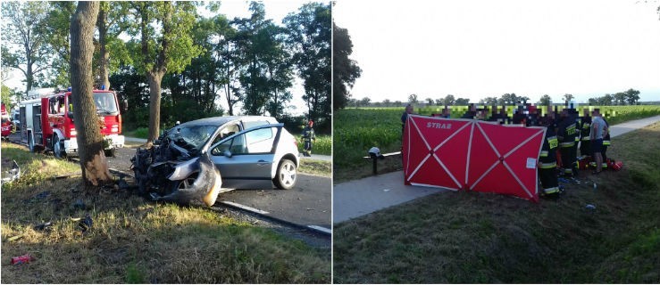 Peugeot uderzył w drzewo i zapalił się. 6-letnią dziewczynkę zabrał LPR - Zdjęcie główne