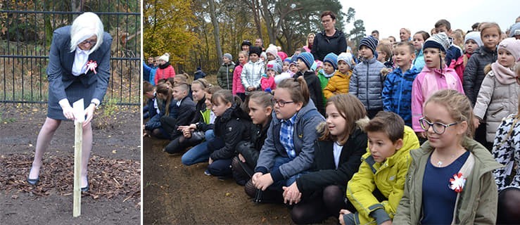 Dąb pamiątką na stulecie niepodległości - Zdjęcie główne