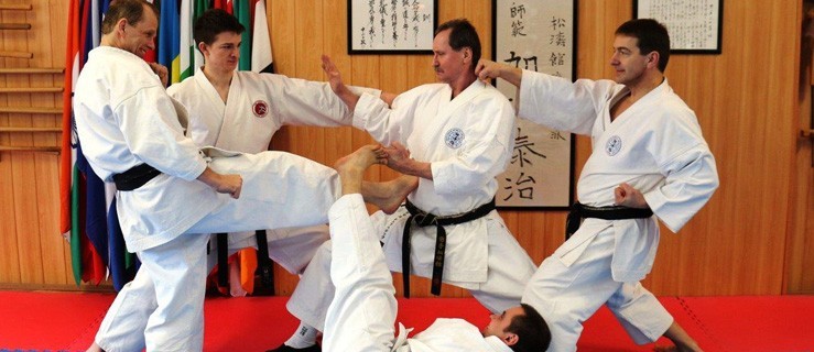 Kolejni mistrzowie karate na Ziemi Gostyńskiej - Zdjęcie główne