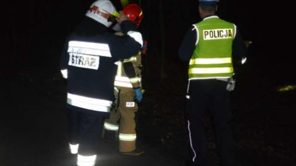 Rodzina zawiadomiła policję o zaginięciu nastolatka. Odnaleziono go następnego dnia w polu - Zdjęcie główne