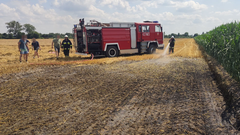 Alarm w gminie Borek Wlkp. Zapaliło się zboże na pniu - Zdjęcie główne