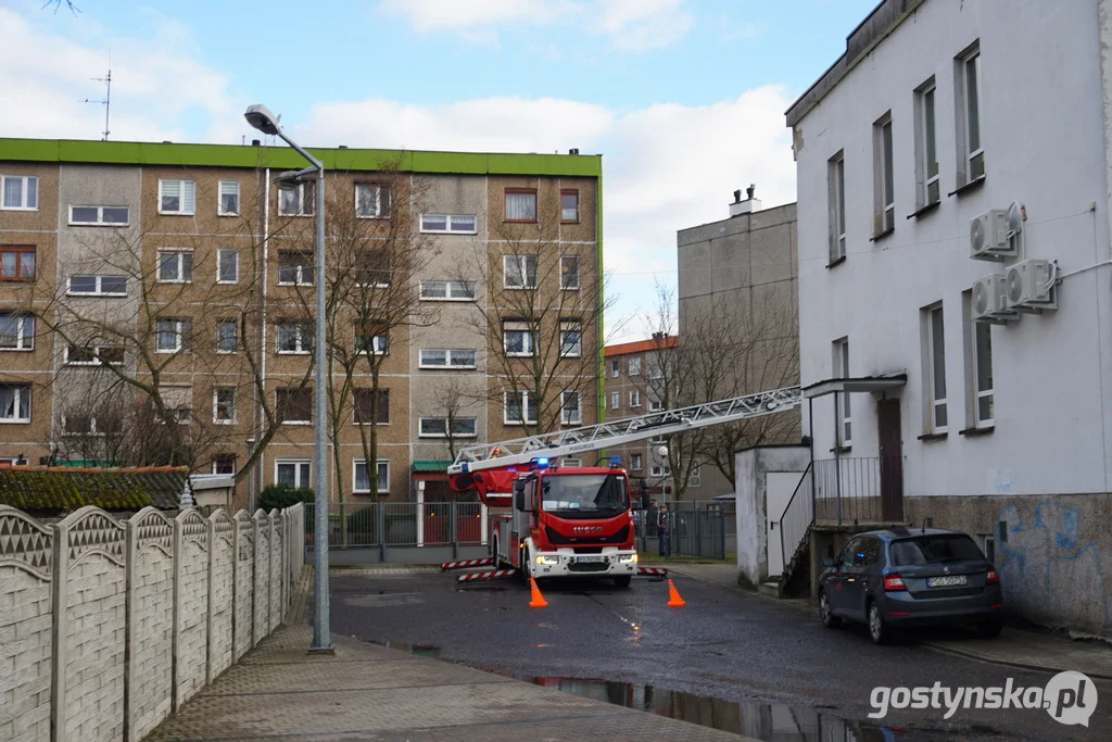Uszkodzone ponad 10-metrowe drzewo mogło być prawdziwym zagrożeniem
