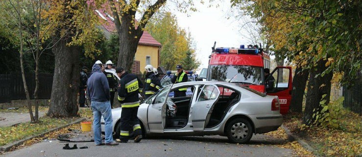 Nagle wjechał w drzewo - Zdjęcie główne