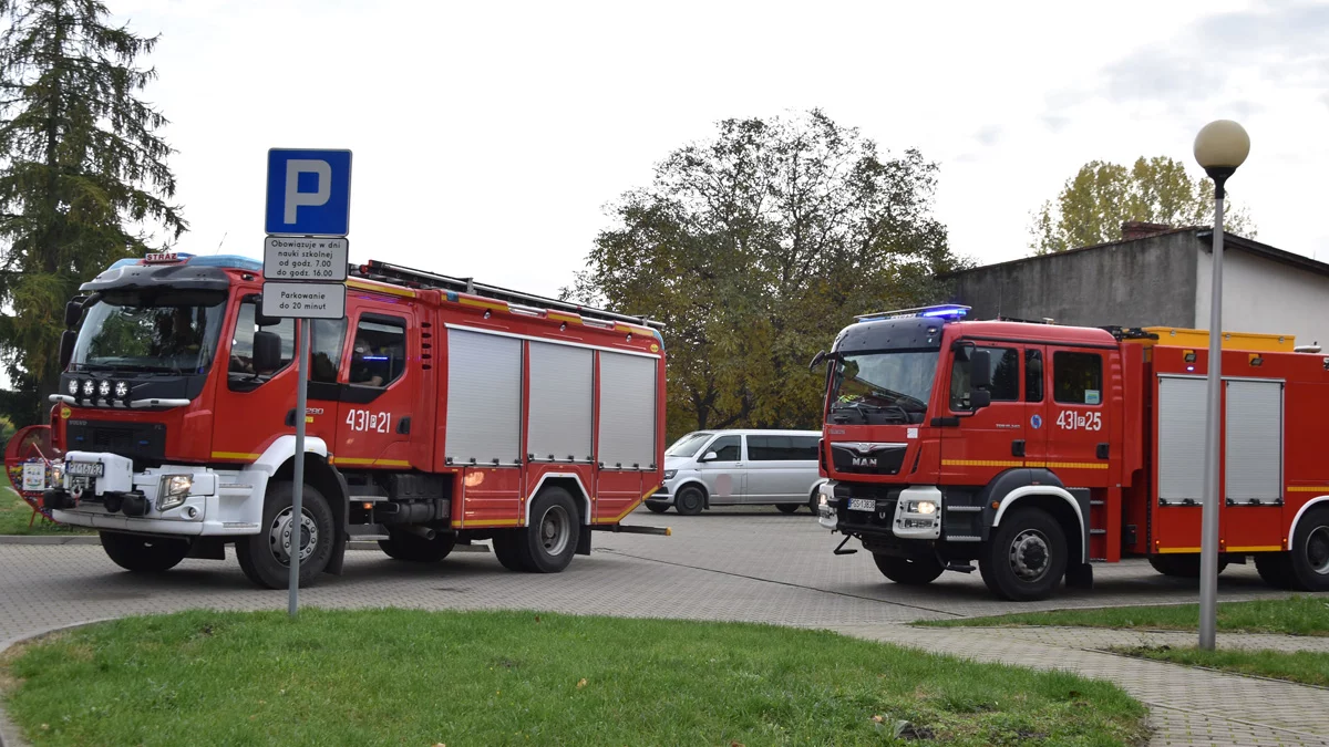 Pożar domu w Pogorzeli. Mieszkaniec zdążył wyjść z płonącego budynku - Zdjęcie główne