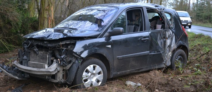 Renault wypadło z drogi - Zdjęcie główne