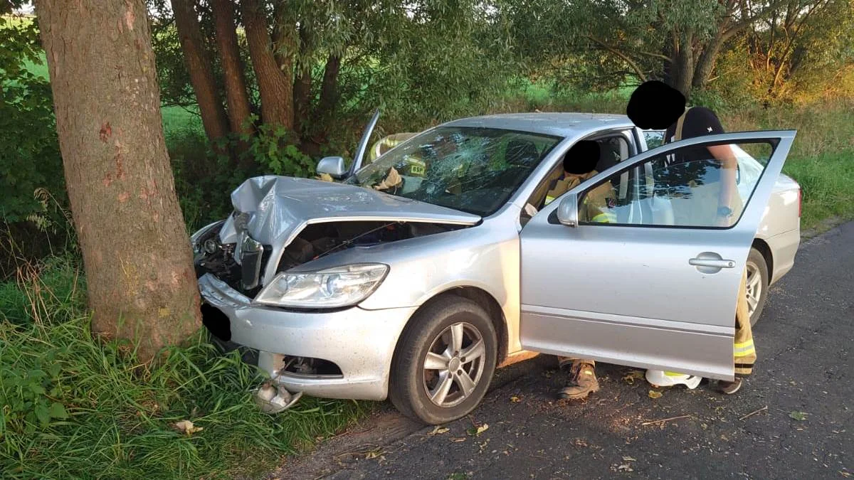 Zasłabł za kierownicą i uderzył w drzewo pod Karolewem. 64-latka zabrało pogotowie - Zdjęcie główne