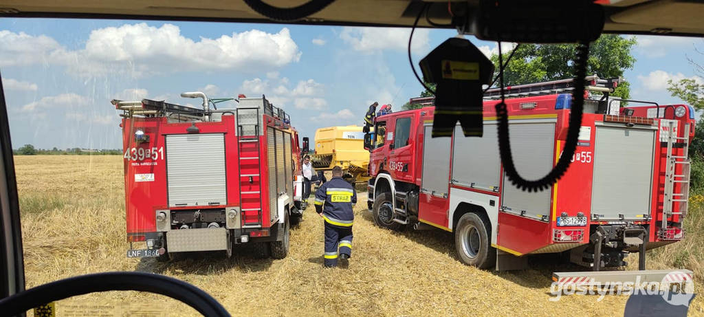 Borek Wlkp. Pożar zboża na pniu w Trzecianowie