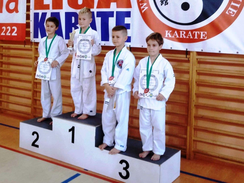 Wielkopolska Liga Karate - Zdjęcie główne