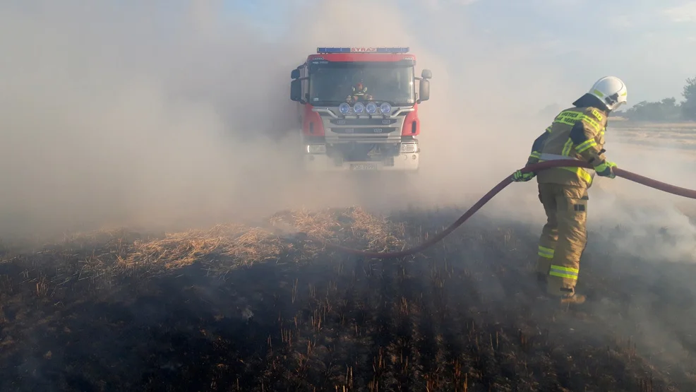 Pożar na polu za Strumianami. W akcji pod wieczór 4 lipca 2022 r. uczestniczyło 7 zastępów strażaków - Zdjęcie główne