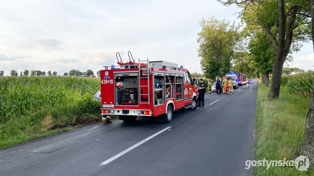 Poniec. Kolizja na drodze powiatowej Poniec-Gostyń, na wyjeździe z Drzewiec w kierunku Śmiłowa