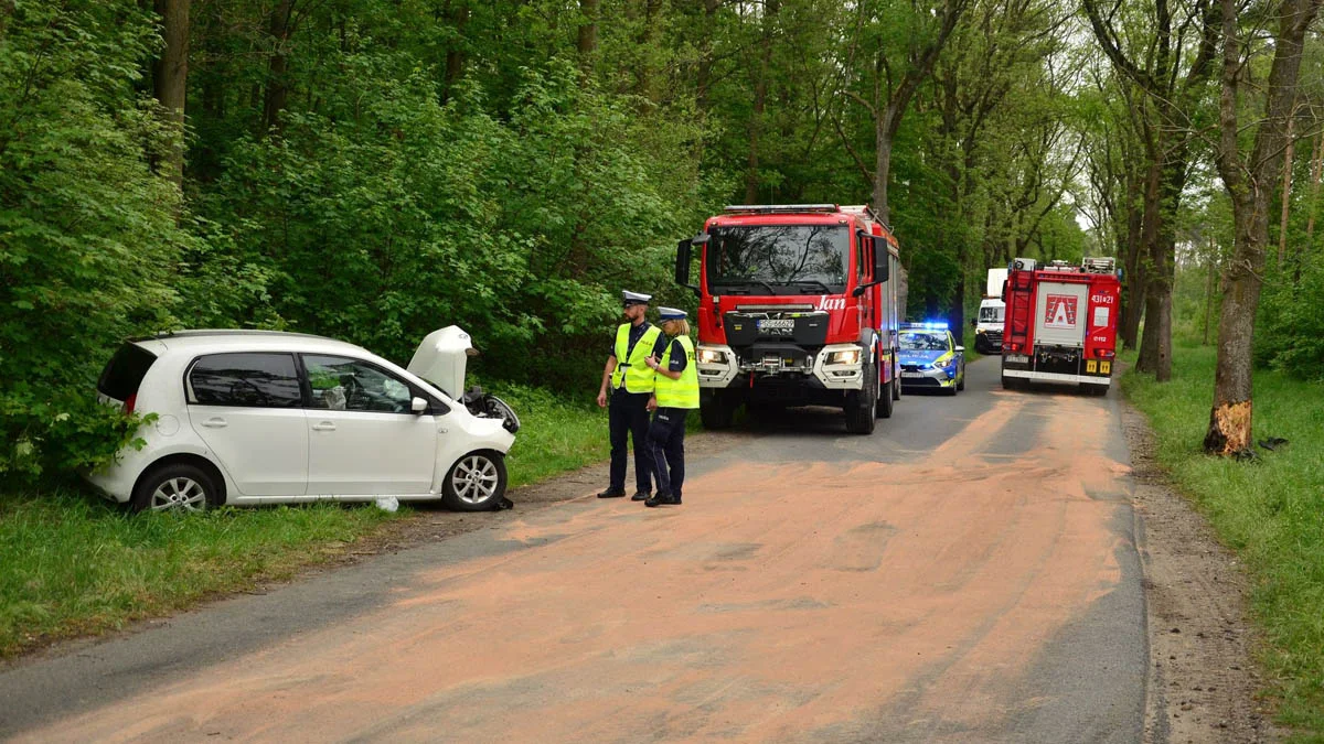 Auto na drzewie w Siedmiorogowie I (gm. Borek Wlkp.). Czy kobieta zasłabła za kierownicą? - Zdjęcie główne