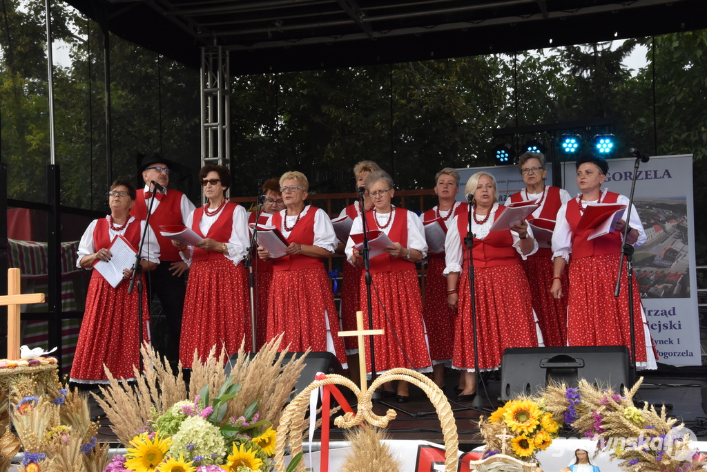 Dożynki w Elżbietkowie. Tradycji stało się zadość