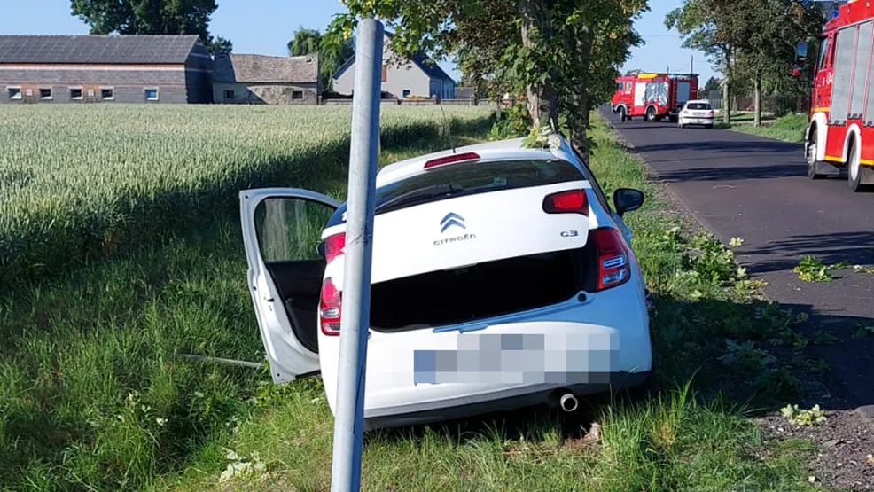 Gmina Pogorzela. Samochód uderzył w drzewo - Zdjęcie główne