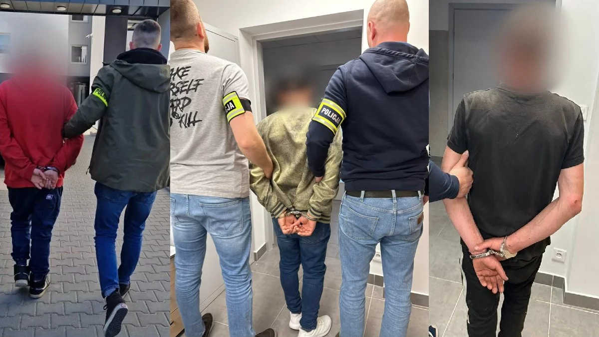 W czasie policyjnej akcji zatrzymano siedem osób. Niektórzy zatrzymani byli poszukiwani za ciężkie przestępstwa