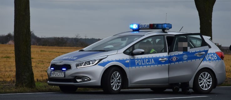 Zepchnęła inny samochód na drzewo - Zdjęcie główne