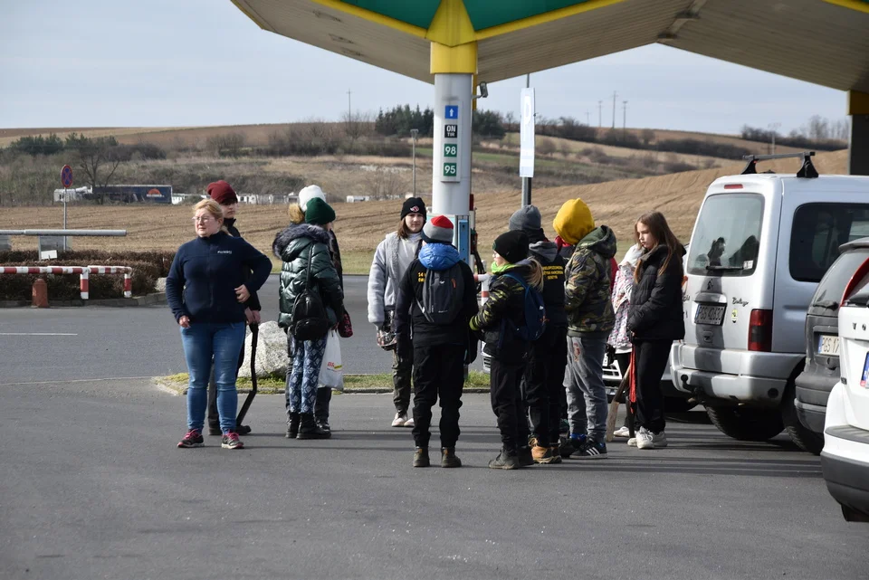 Gostyń. Nasadzanie lasu w miejscu, gdzie dwa lata temu drzewa pochłonął ogień (Leśnictwo Kosowo). Gostynianie pomagali w działaniach, które zorganizowało Nadleśnictwo Piaski