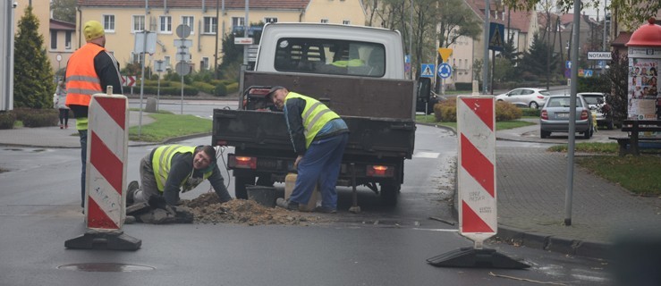 Stoją niemal na środku drogi - Zdjęcie główne