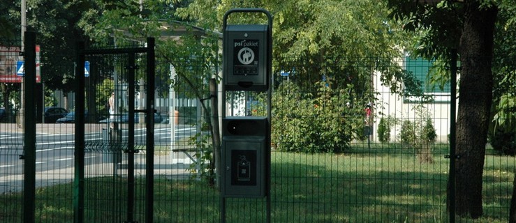 Bezsensowny ogródek. Nigdy tam nie pójdę - Zdjęcie główne