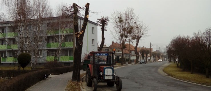 Niezgodne ze sztuką, ale z miejskimi wymaganiami - Zdjęcie główne