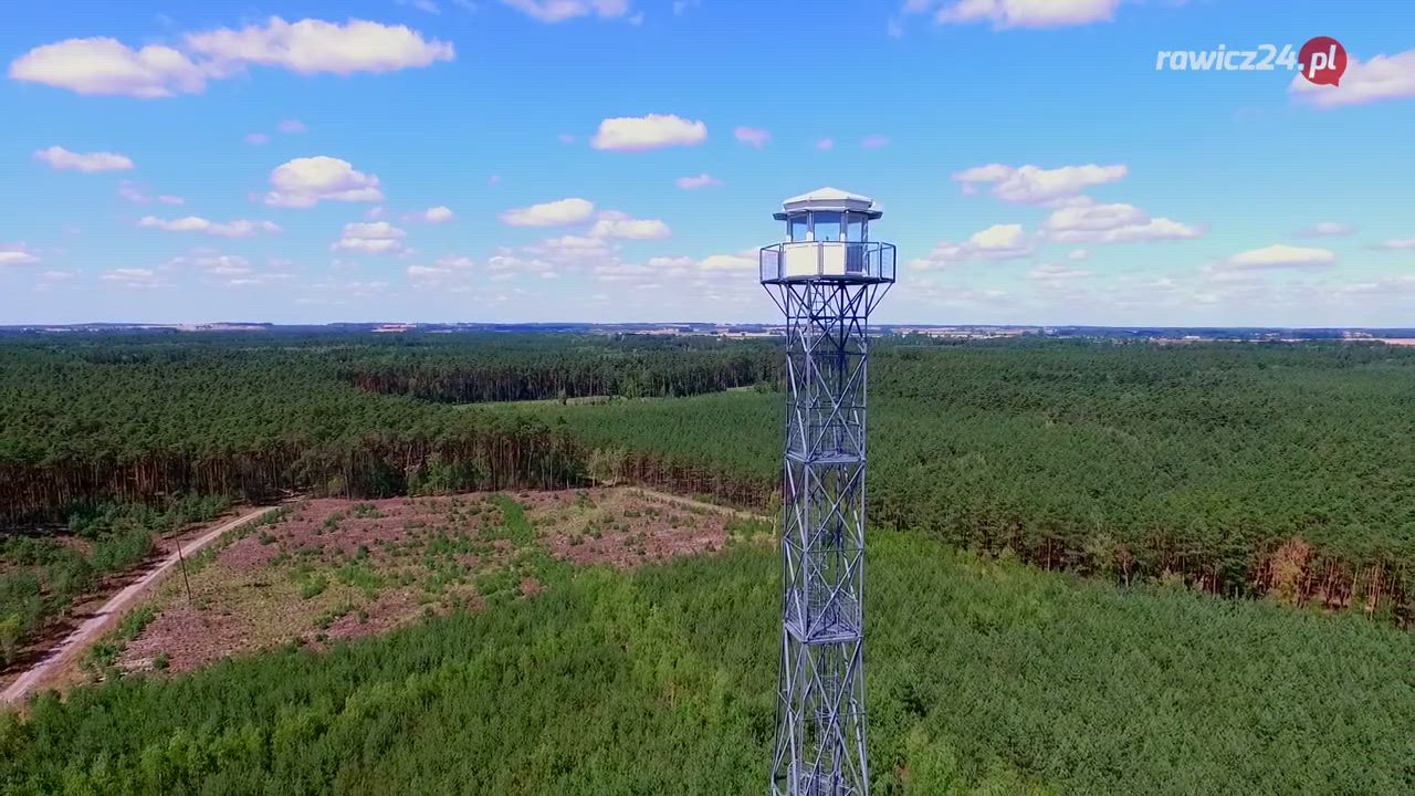 Wysokie zagrożenie pożarowe w lasach na terenie Wielkopolski - Zdjęcie główne