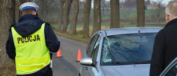 Śmiertelne potrącenie rowerzysty - Zdjęcie główne