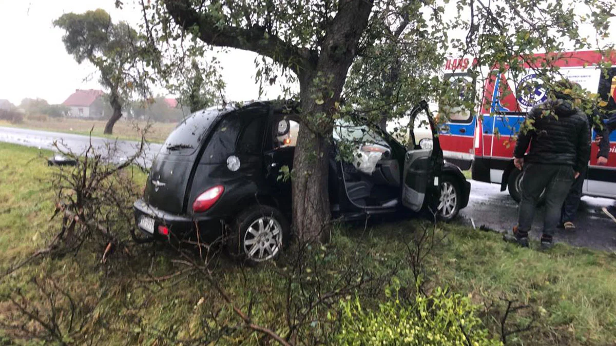 Wypadek na drodze Pogorzela - Pępowo. Jeden uderzył w drzewo, drugi w stojące na poboczu auto - Zdjęcie główne