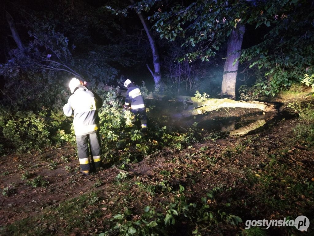 Strażacy interweniowali. Na drogach mogą leżeć połamane gałęzie lub drzewa - Zdjęcie główne
