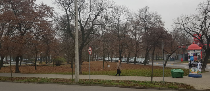 Bóle i znużenie. W tych dniach ograniczcie przebywanie na wolnym powietrzu - Zdjęcie główne