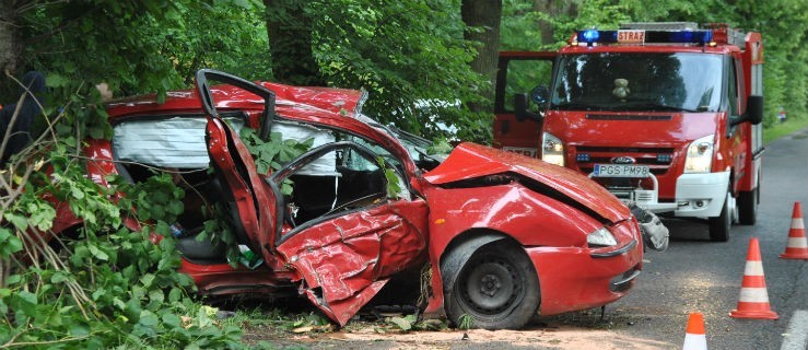 Poszkodowani w szpitalu. Alfa romeo uderzyło w drzewo [Aktualizacja] - Zdjęcie główne