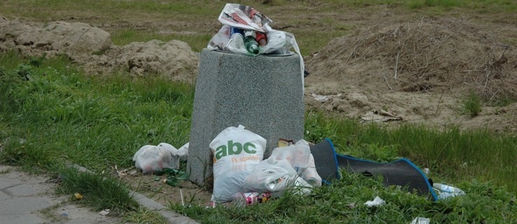 Kosze są potrzebne, ale częściej powinny być sprzątane - Zdjęcie główne