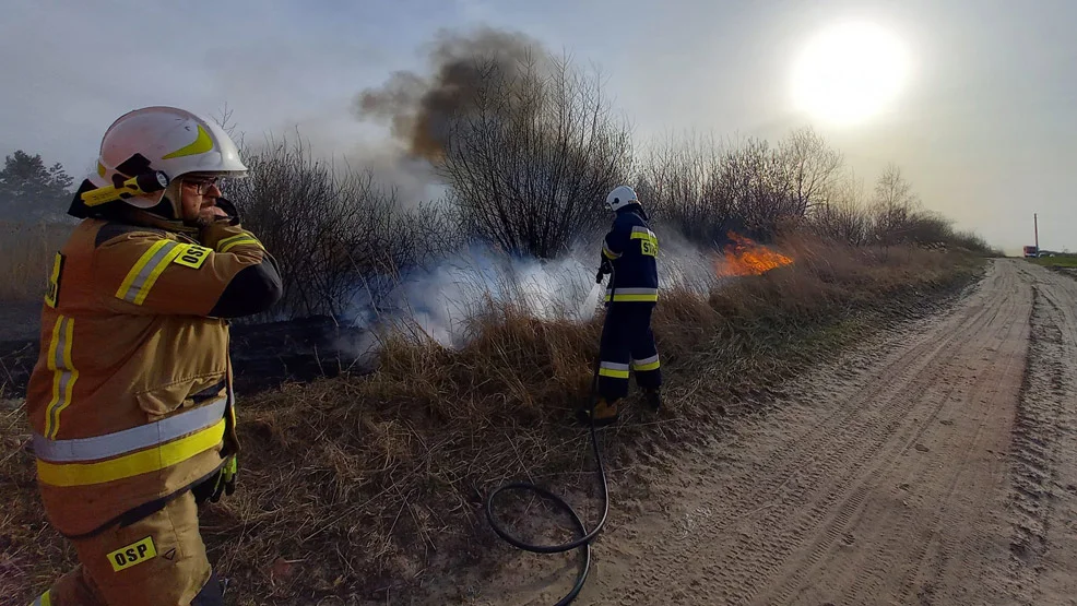 Znowu "przypadkowy" pożar traw w gostyńskim? Ogień gasiło aż 7 zastępów  - Zdjęcie główne