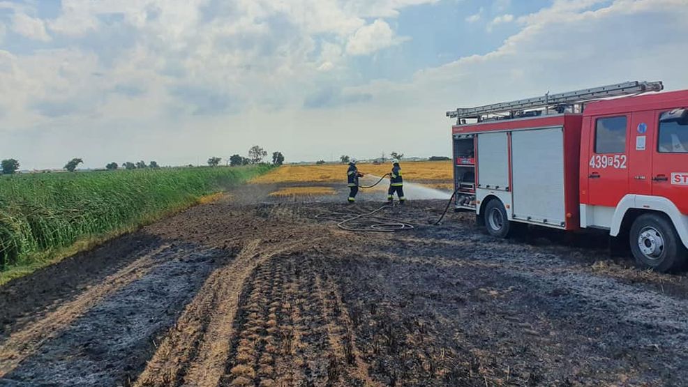 Pożary zboża. Gostyńskie jednostki w akcji - Zdjęcie główne