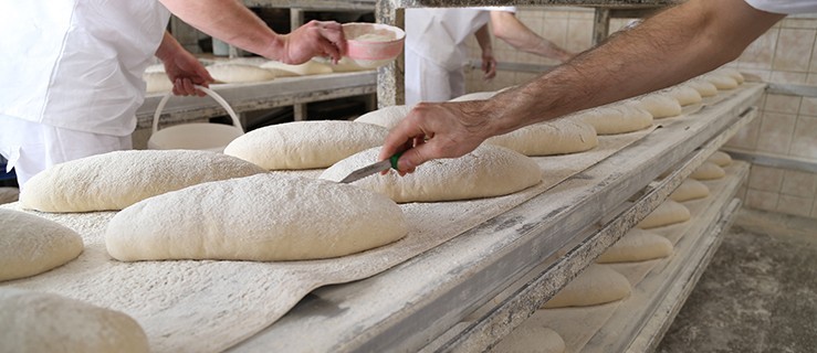 Panika gorsza od wirusa. Czyżby miało zabraknąć chleba? - Zdjęcie główne