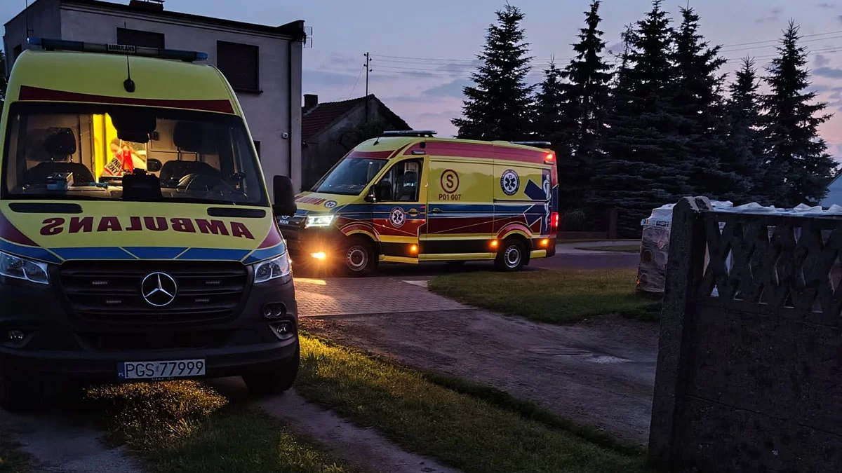 Zatrucie tlenkiem węgla niemal zakończyło się tragedią. Domownicy spali, uratował ich... pies