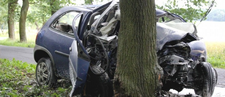 Opel uderzył w drzewo. Kierowca zabrany do szpitala - Zdjęcie główne