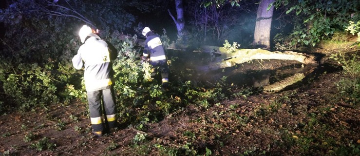 Strażacy interweniowali. Na drogach mogą leżeć połamane gałęzie lub drzewa - Zdjęcie główne