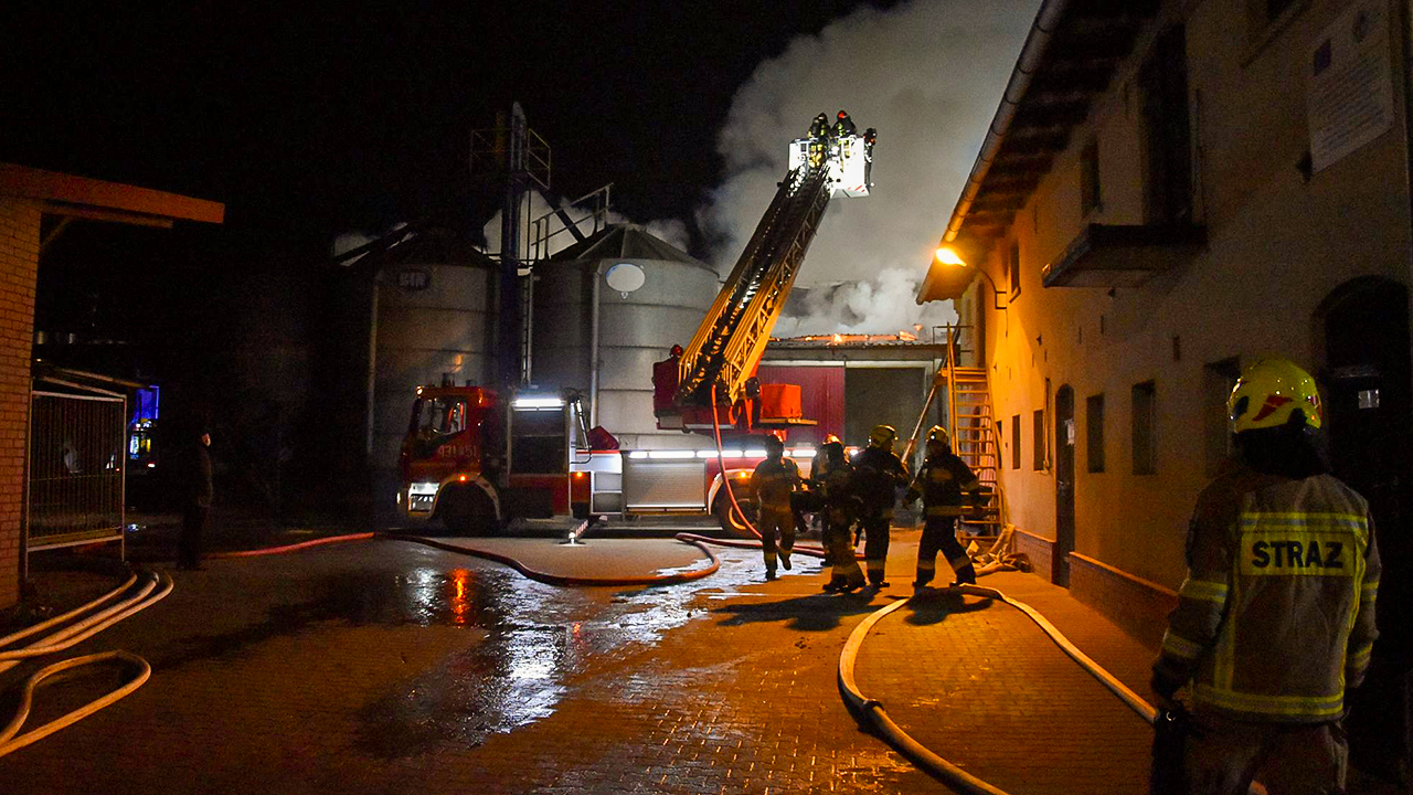 Groźny pożar w Rokosowie. Płonie stodoła z chlewnią - Zdjęcie główne