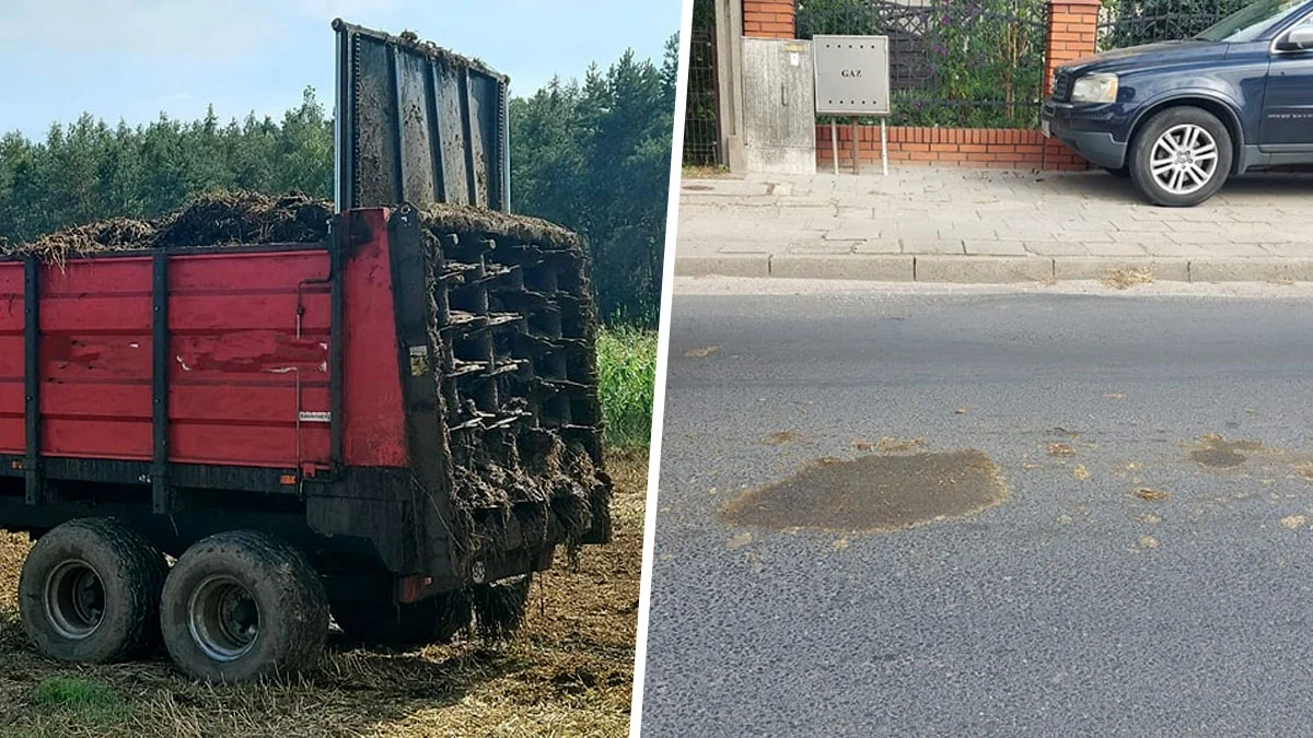 Zamiast na pole, obornik trafił na drogę. Rolnik z gminy Gostyń dostał karę - Zdjęcie główne