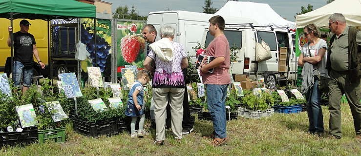 Regionalne targi rolniczo-ogrodnicze w Gołaszynie (FOTO) - Zdjęcie główne