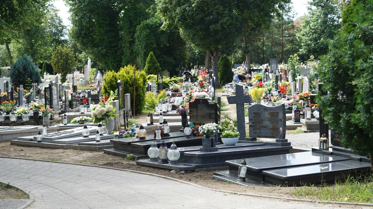 Burmistrz Gostynia zdradził, jak będzie wyglądał nowy cmentarz na Pożegowie - Zdjęcie główne