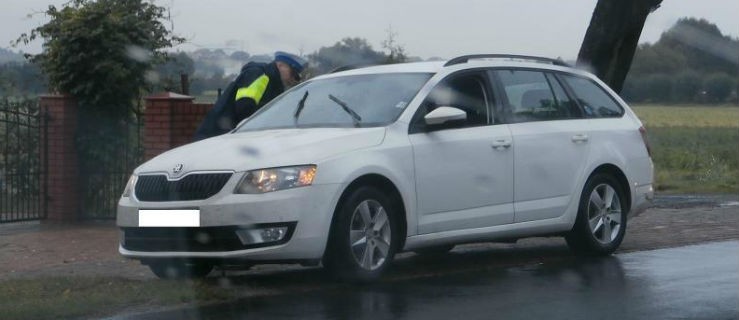 Wpadli za prędkość. Policja przeprowadziła akcję - Zdjęcie główne