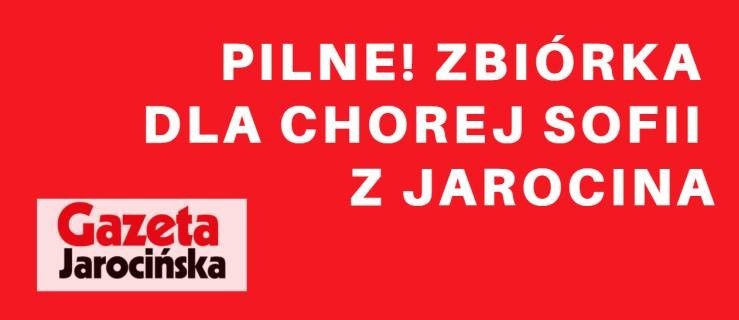 PILNE. Potrzebna pomoc dla chorej Sofii. Organizujemy zbiórkę. Prosimy o wsparcie   - Zdjęcie główne