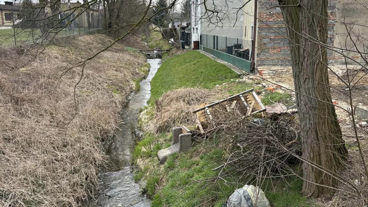 Przedświąteczne "porządki" ukarane mandatami i nakazami