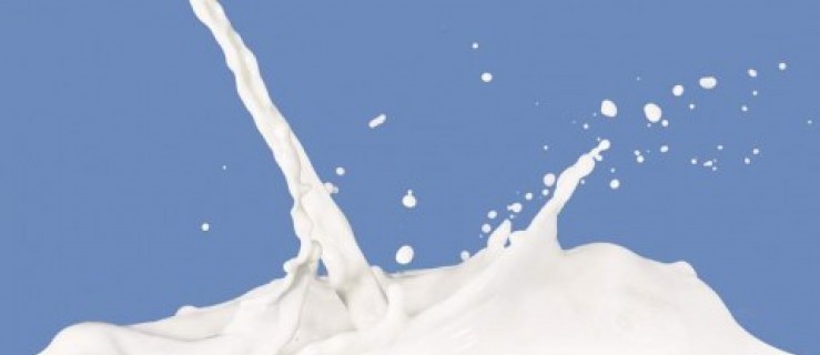 Mleko prawdę ci powie - Zdjęcie główne