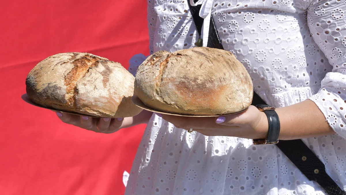 W marcu podrożał chleb. Gostyńscy piekarze nie gwarantują, że to ostatnia podwyżka w 2024 r. - Zdjęcie główne
