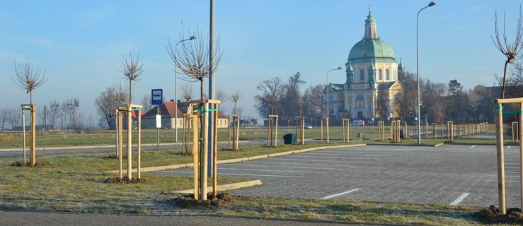 Klony i lipy już posadzone. Drzew będzie więcej - Zdjęcie główne