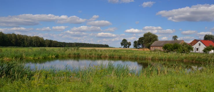 Odmulą dwa stawy w gminie - Zdjęcie główne