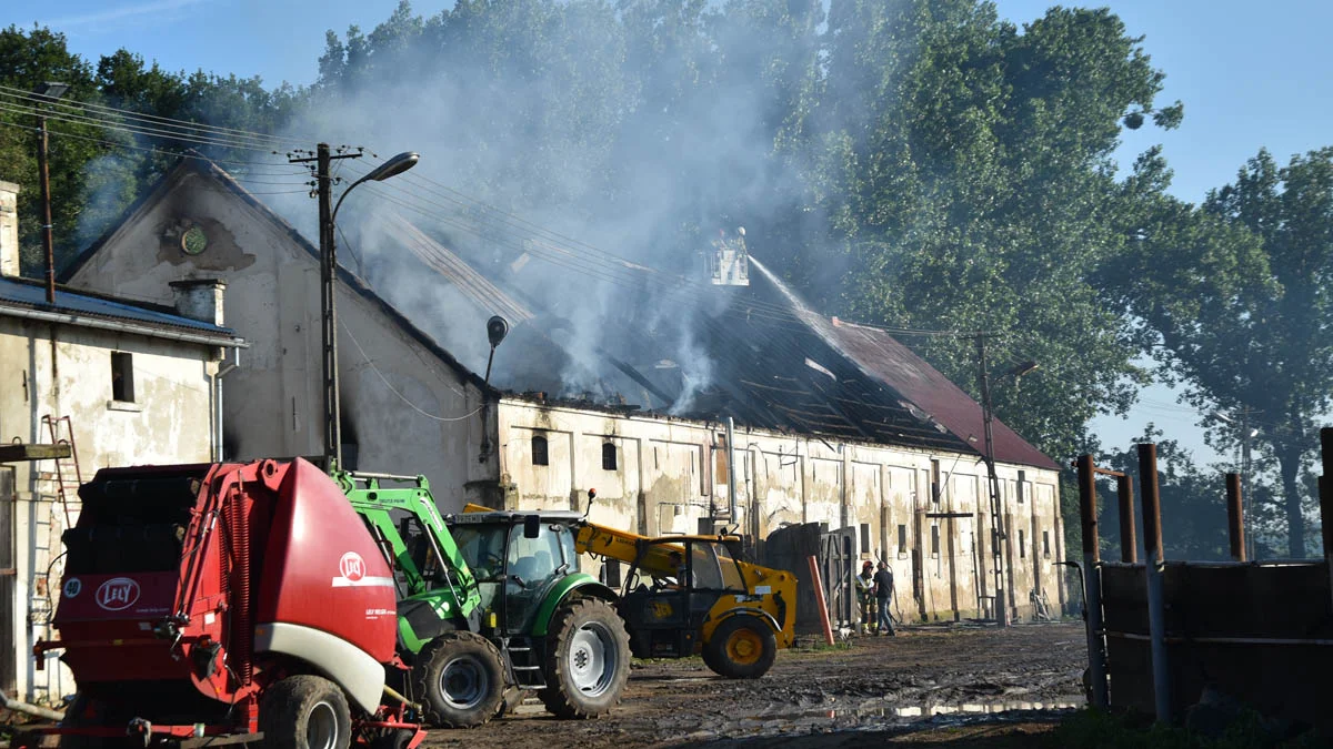 Stajnia w Podrzeczu spłonęła. Konie straciły dach nad głową. Przyjaciele ruszyli ze zbiórką - Zdjęcie główne